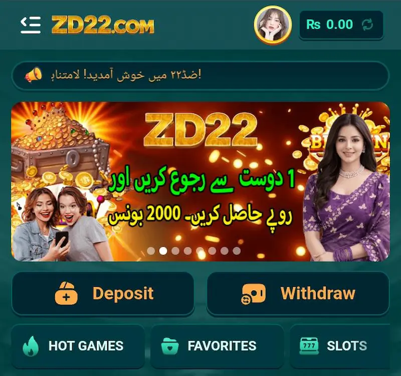 zd22 game